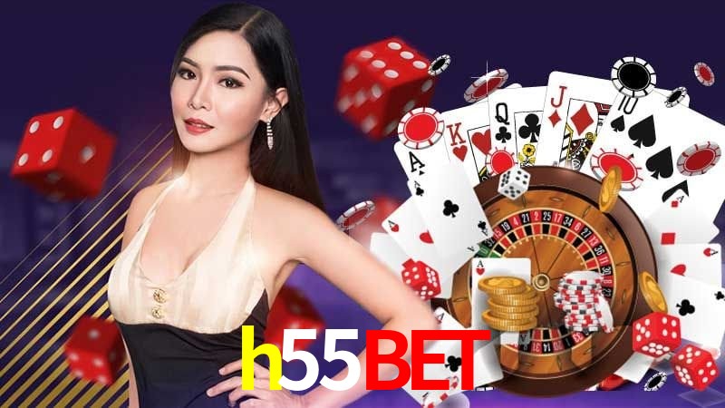Interface Premium h55bet
